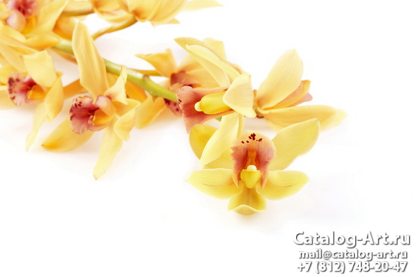 Натяжные потолки с фотопечатью - Желтые и бежевые орхидеи 2